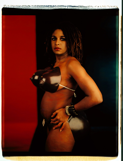 Venus Hottentot 2000 [in collaboration with Renee Cox], 1994